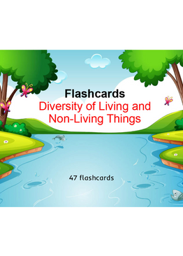 Lower Primary Science Flashcards: Diversity of Living and Non-Living Things