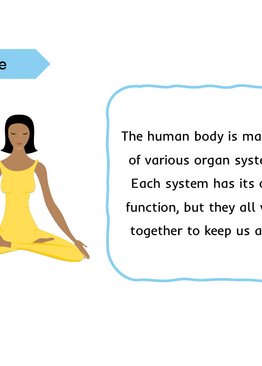 Lower Primary Science Flashcards: Human System