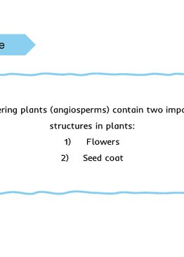 Upper Primary Science Flashcards: Reproduction in Plants and Animals