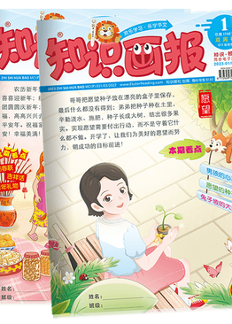 2023 ZHI SHI HUA BAO Reading Magazine Bundle Pack (Primary 3&4)
