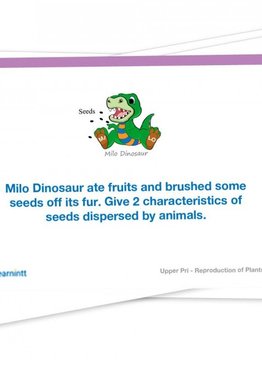 PSLE Lower Primary Science Flashcards V4