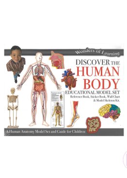 WOL Model Educational Set - Human Body