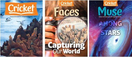 Best Collection of Stories & Discovery - Discovery Reading Bundle (P5/P6)