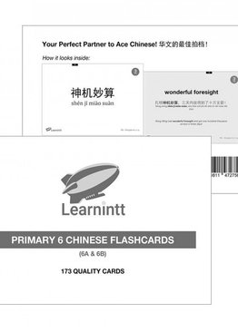 P5 & P6 Chinese New Syllabus Package (Flashcards + Videos)