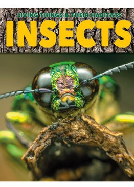 Living Things & Their Habitats - Insects