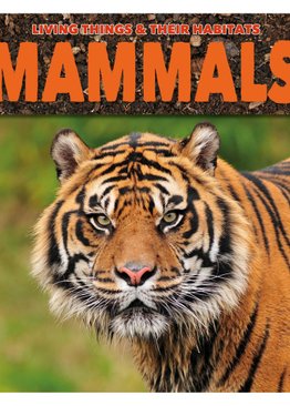 Living Things & Their Habitats - Mammals