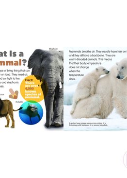 Living Things & Their Habitats - Mammals