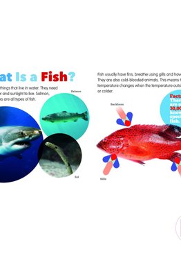 Living Things & Their Habitats - Fish