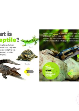 Living Things & Their Habitats - Reptiles