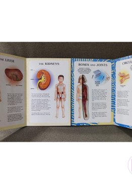 My First Book Of The Human Body
