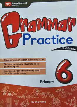 Grammar Practice P6 (3E) 