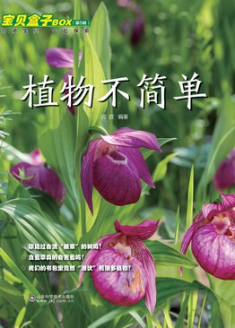 [Subscription] TREASURE BOX 宝贝盒子 2023 - Ages 7 to 9 (10 issues)