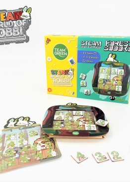 Team Green STEAM World of Robbi- Forest Sudoku