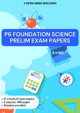 P6 FOUNDATION SCIENCE PRELIM EXAM PAPERS