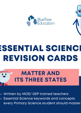 Primary 4 Essential Science Revision Flashcards [Matter and Its Three States] (PSLE-Compliant)
