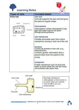 [The Art of Science] The Unit of Cell – Primary 5 (PSLE-Compliant)