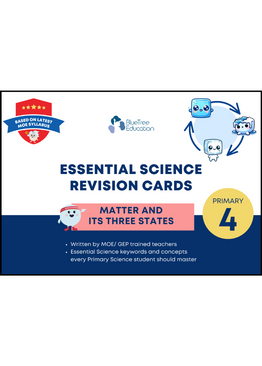 Primary 4 Essential Science Revision Flashcards [Matter and Its Three States] (PSLE-Compliant)