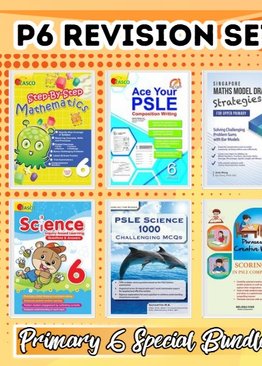 P6 Revision Set Special Bundle