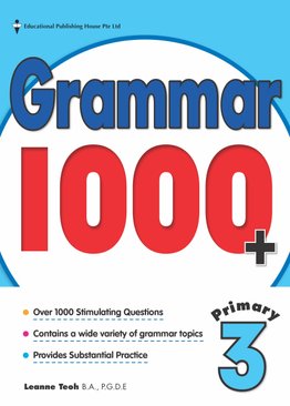 P3 Grammar 1000+