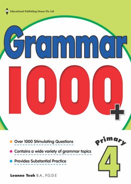 P4 Grammar 1000+