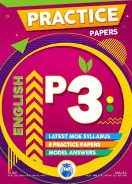 PRIMARY 3 ENGLISH PRACTICE PAPERS