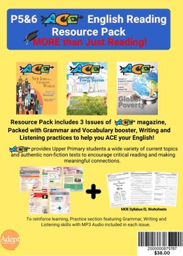 ACE MAGAZINE BUNDLE - 3 ISSUES