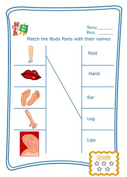 Match the Word - Body Parts