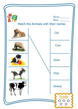 Match the Word - Domestic Animals