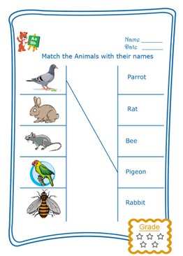 Match the Word - Domestic Animals