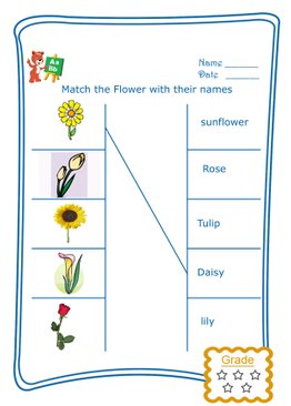 Match the Word - Flowers