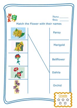 Match the Word - Flowers
