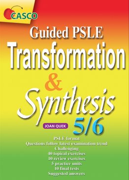  Guided PSLE Transformation & Synthesis