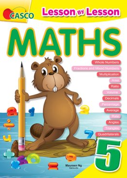 Lesson By Lesson Maths Primary 5