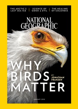 National Geographic Magazines Subscription