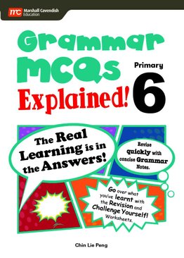Grammar MCQs Explained! P6