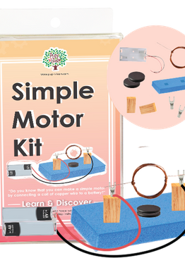 STEM Learn & Discover Play N Learn Simple Motor Kit