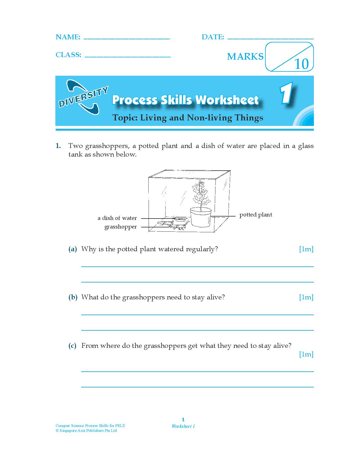 Science Process Skills Worksheets Process Skills For Science Worksheet Science Process Skills Worksheets Process Skills For Science Worksheet