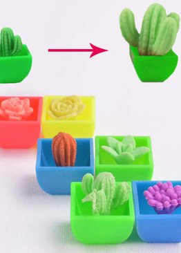 Science Educational Toy For Kids Play N Learn Party Gift Growing Cactus 4 pieces per pack