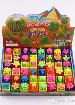 Science Educational Toy For Kids Play N Learn Party Gift Growing Cactus 4 pieces per pack