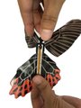 Mini Science Toy - Twisty Fly Orange
