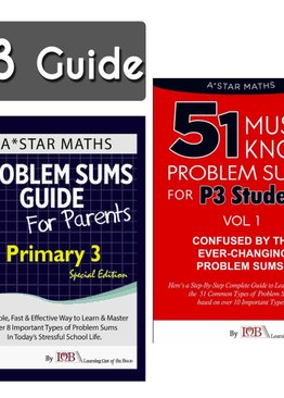 P3. 2-Guidebook (Quick Starter Kit)