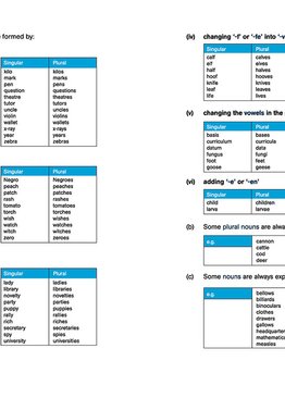  Excel in Grammar ( Primary 5/6 & Secondary 1/2 )
