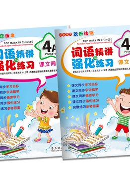 Top Mark in Chinese 4A&4B ( Primary 4 )