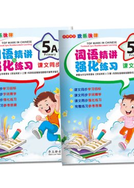 Top Mark in Chinese 5A&5B ( Primary 5 )
