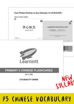 Chinese Vocabulary Flashcards P5