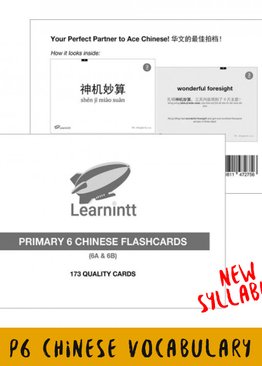 Chinese Vocabulary Flashcards P6