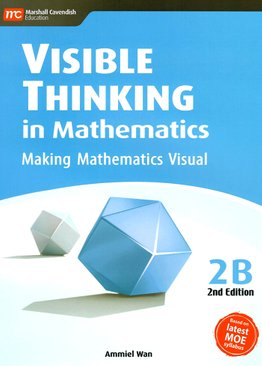 Visible Thinking in Maths 2B