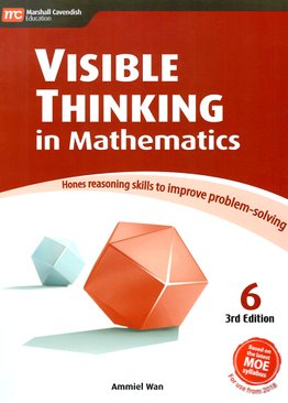 Visible Thinking in Maths 6