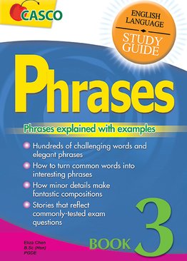 English Language Study Guide Phrases 3