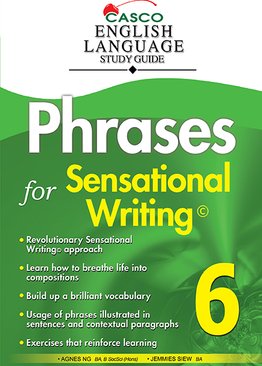 Phrases for Sensational Writing 6